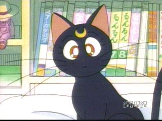 Sailor Moon video capture 1