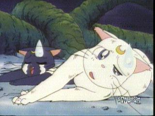 Sailor Moon video capture 13