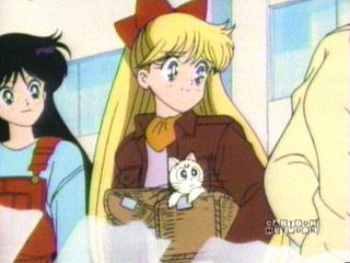 Sailor Moon video capture 5