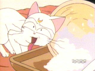 Sailor Moon video capture 5