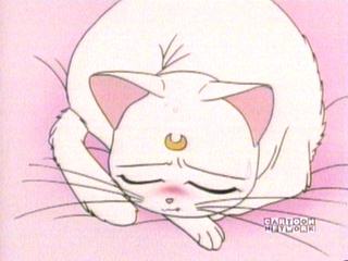 Sailor Moon video capture 23